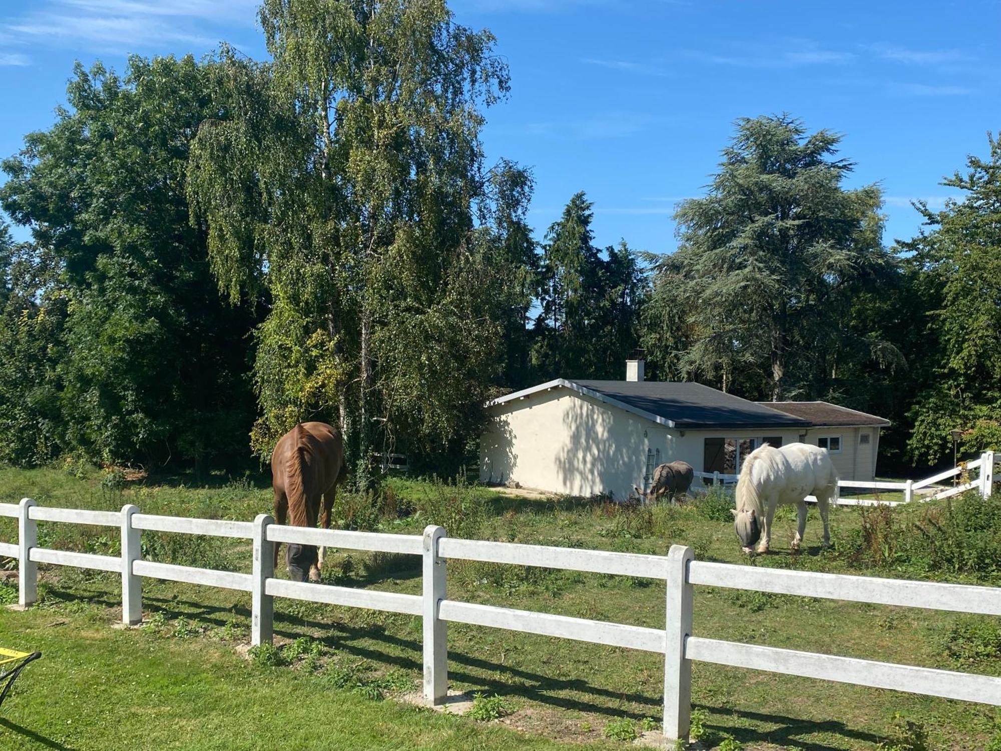 Au Cedre Bleu Villa Carnoy Eksteriør billede